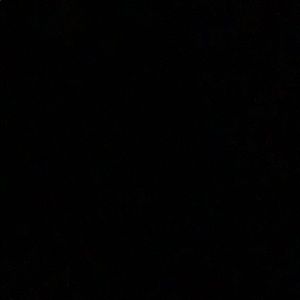 Meet your Posher, Natasha